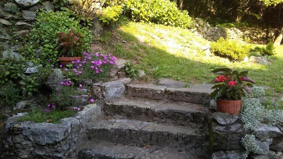 クロード Casa Ziziヴィラ エクステリア 写真