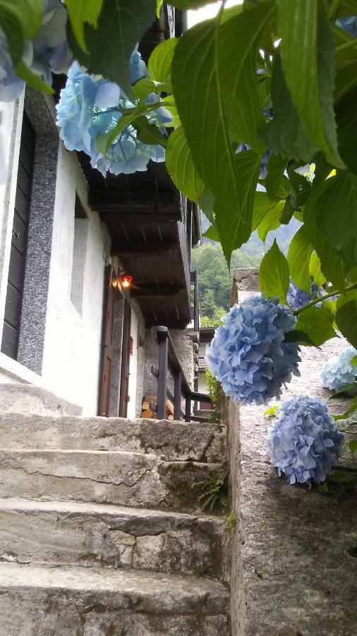 クロード Casa Ziziヴィラ エクステリア 写真